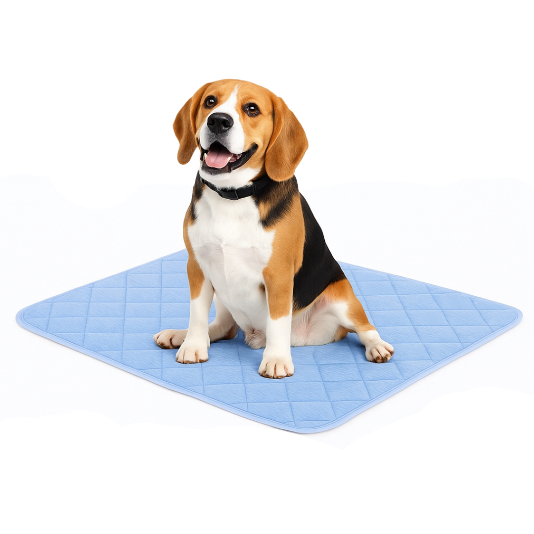 Wooffy™ Dog Cooling Mat